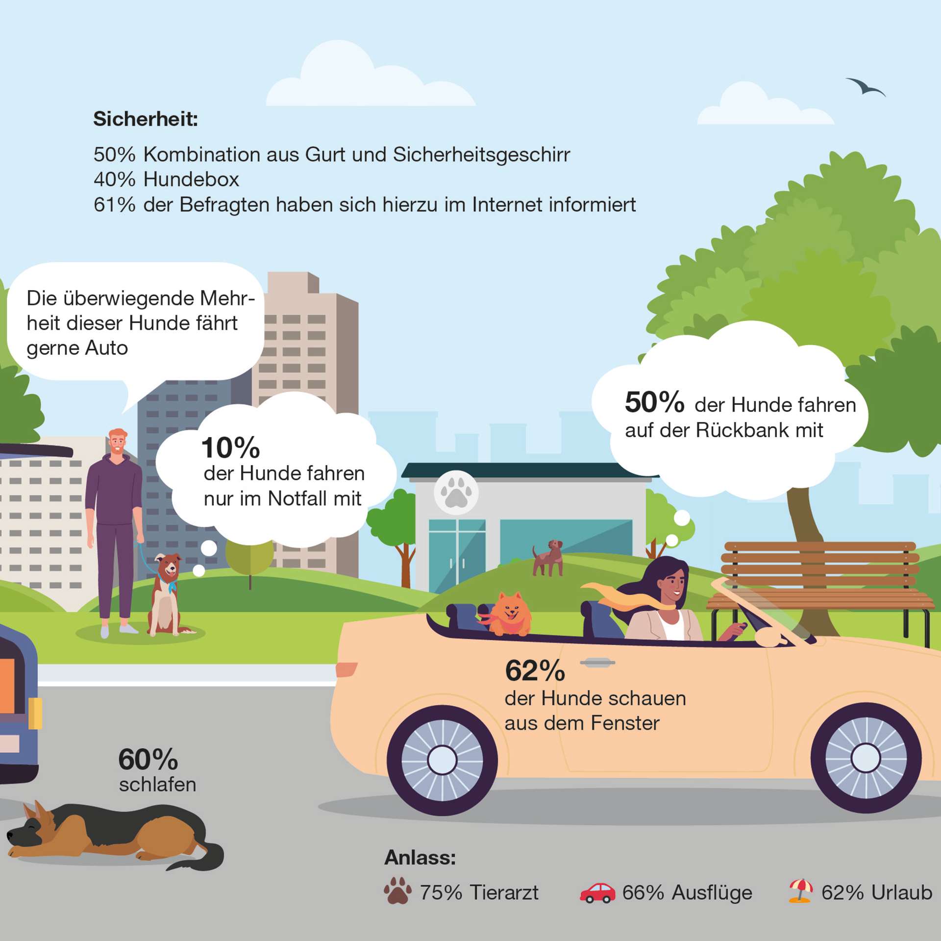 Studie 2023: Hund an Board